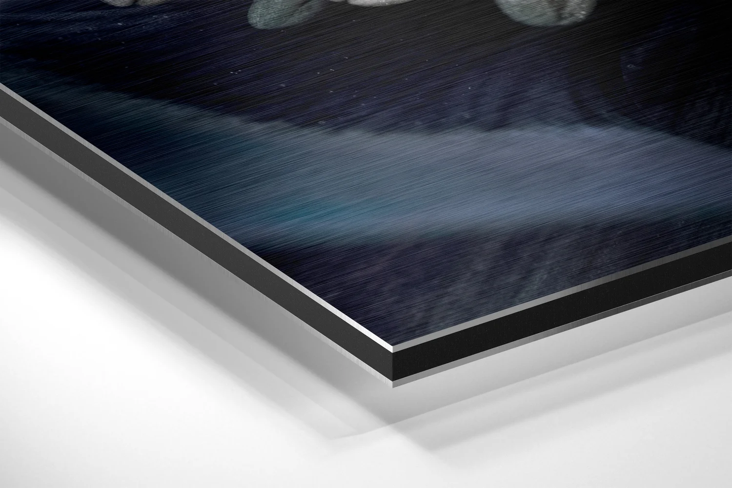 Micro Beauty Brushed Aluminium Dibond Wall Art - Image 2