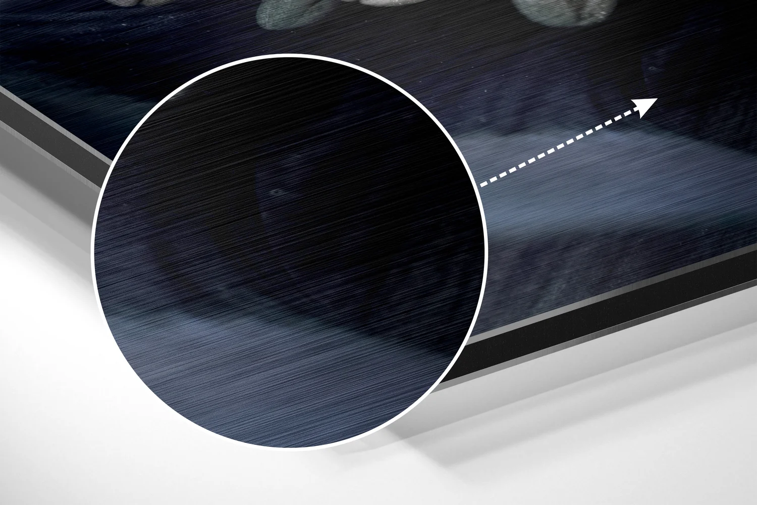 Micro Beauty Brushed Aluminium Dibond Wall Art - Image 3