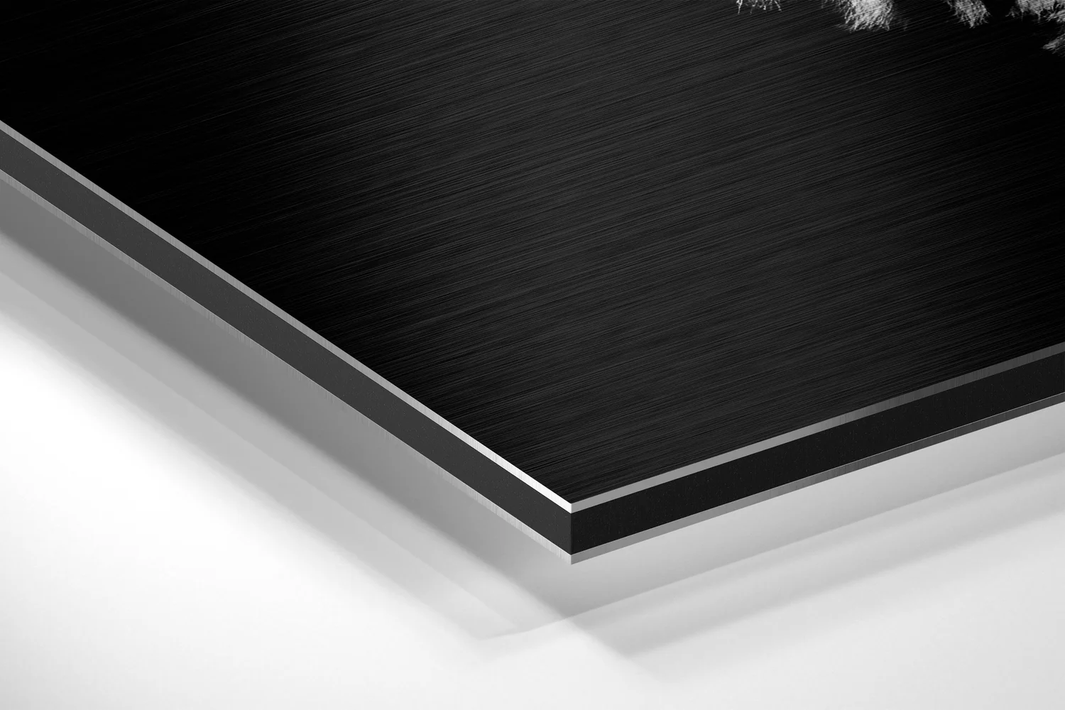 Zebra Brushed Aluminium Dibond Wall Art - Image 2