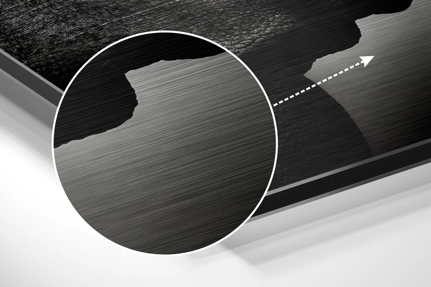 Rhino Brushed Aluminium Dibond Wall Art - Image 3