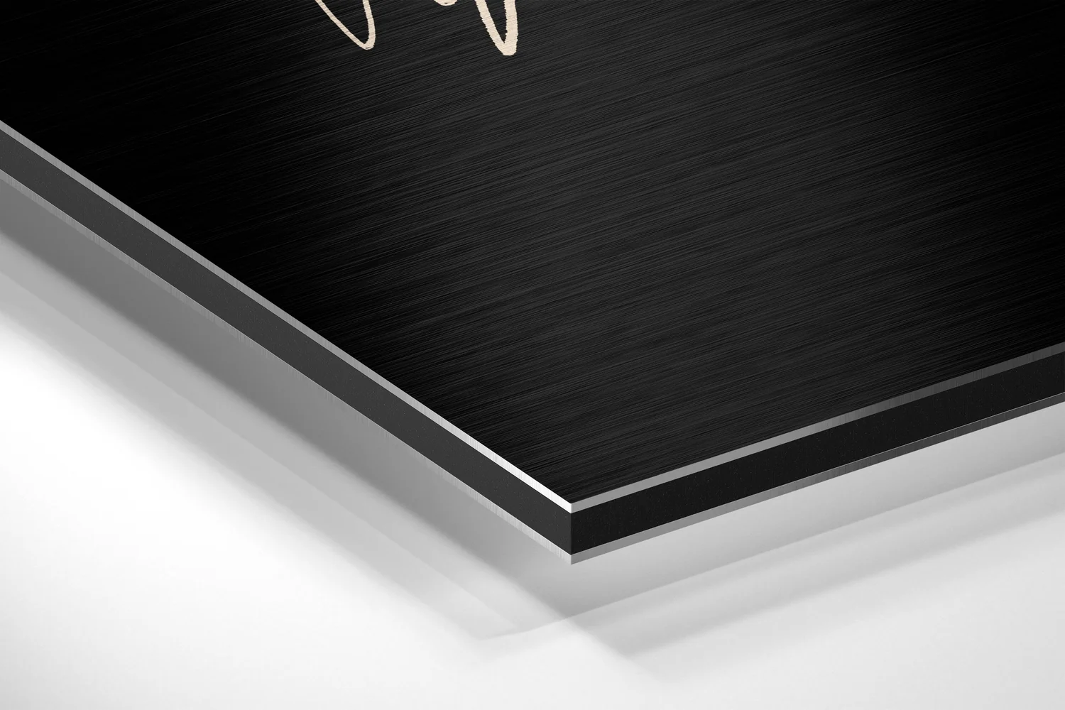 Acorn Brushed Aluminium Dibond Wall Art - Image 2