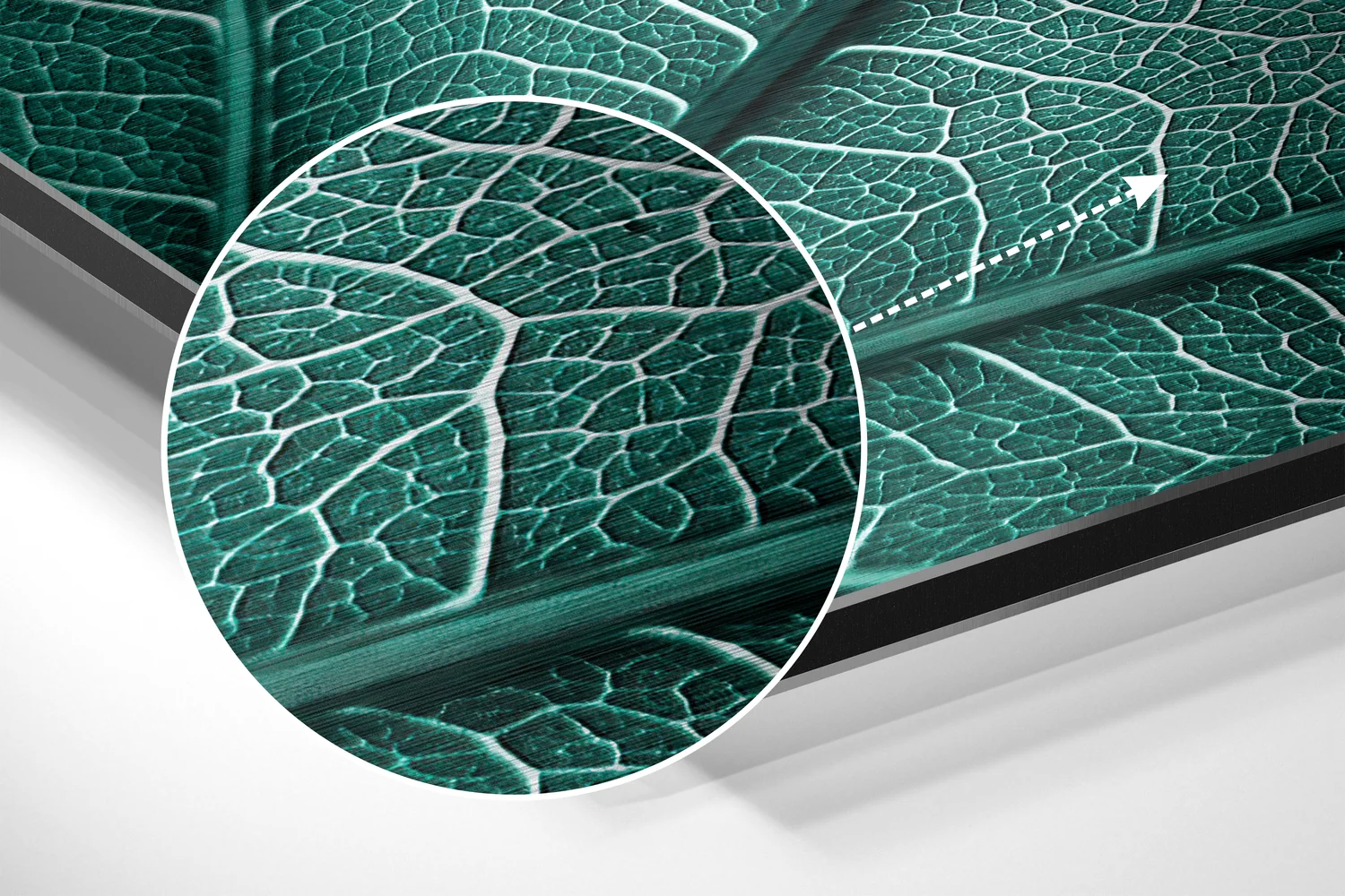Leaf Brushed Aluminium Dibond Wall Art - Image 3