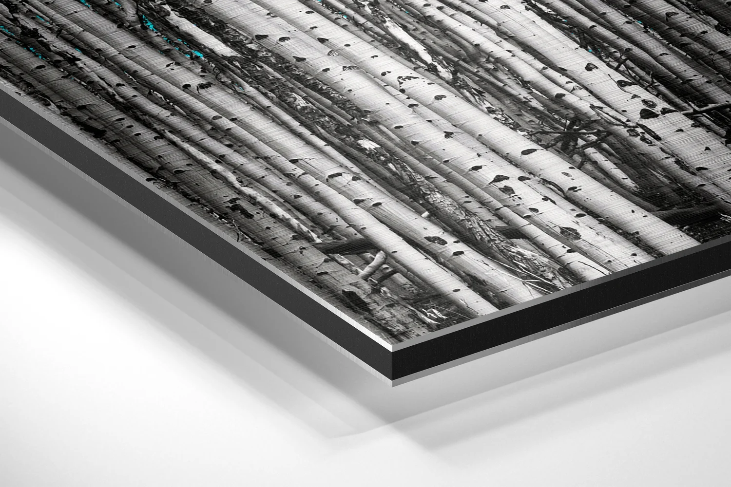 Forest Brushed Aluminium Dibond Wall Art - Image 2