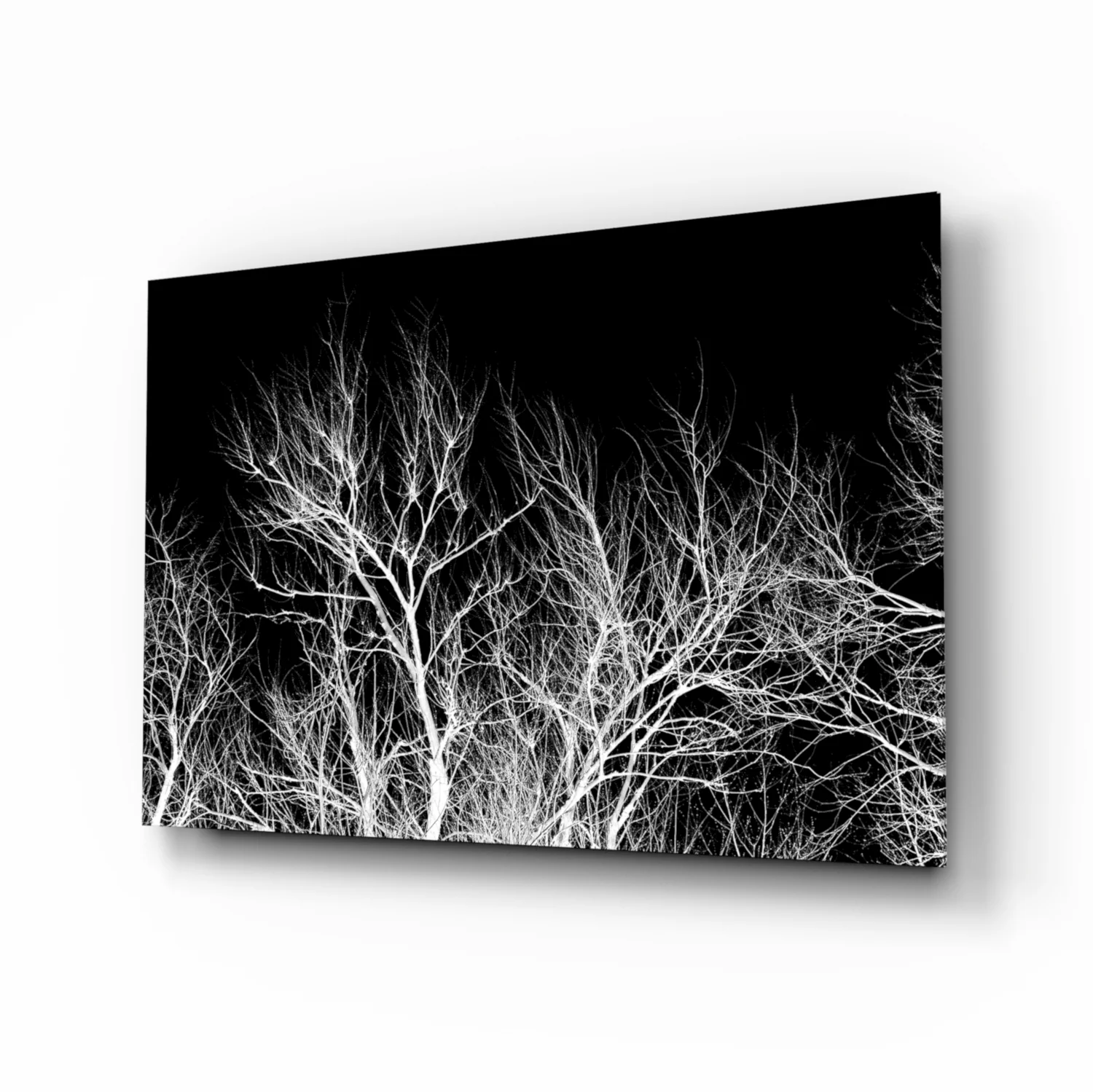 Night of the Tree Glass Wall Art - Image 2