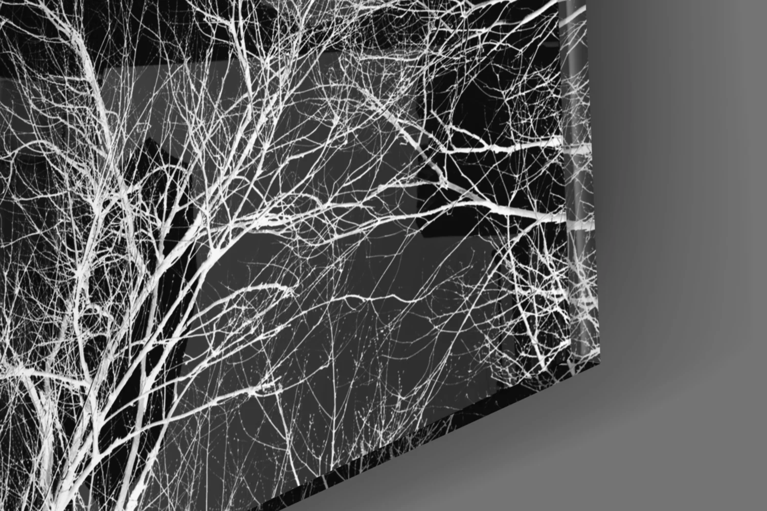Night of the Tree Glass Wall Art - Image 8