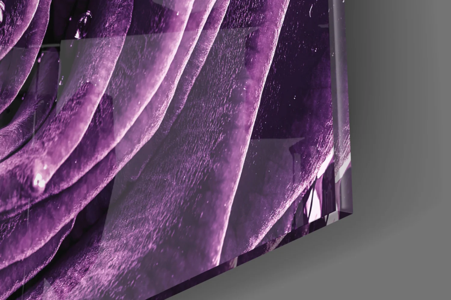 Purple Rose Glass Wall Art - Image 8