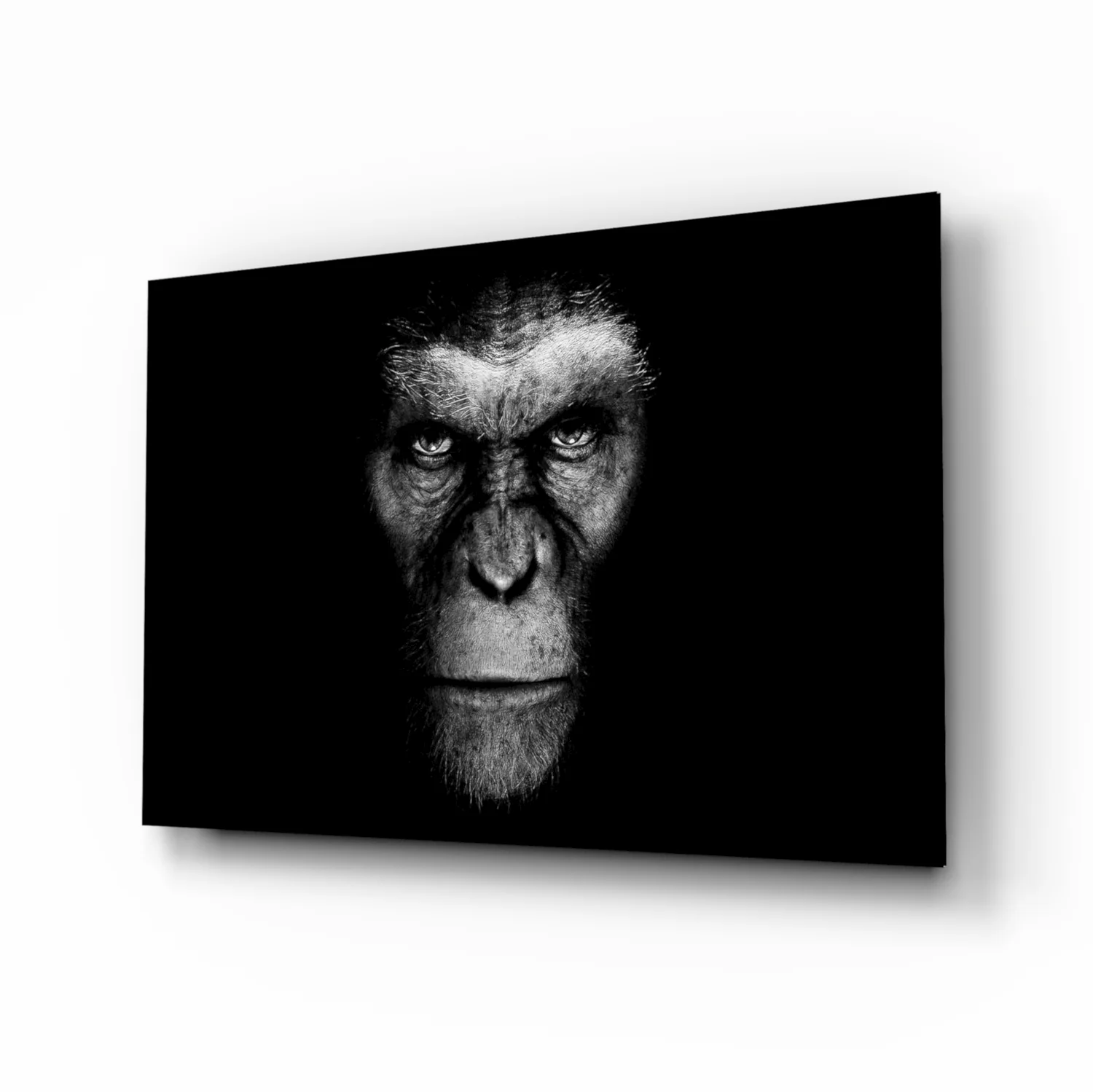 Gorilla Glass Wall Art - Image 2
