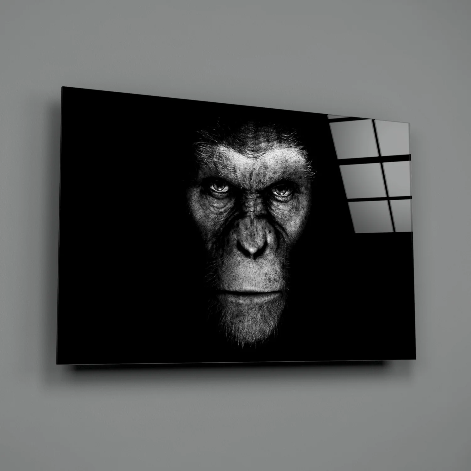Gorilla Glass Wall Art - Image 3