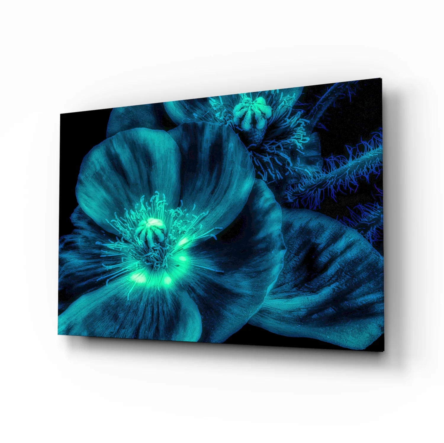 Malvales Flower Glass Wall Art - Image 2