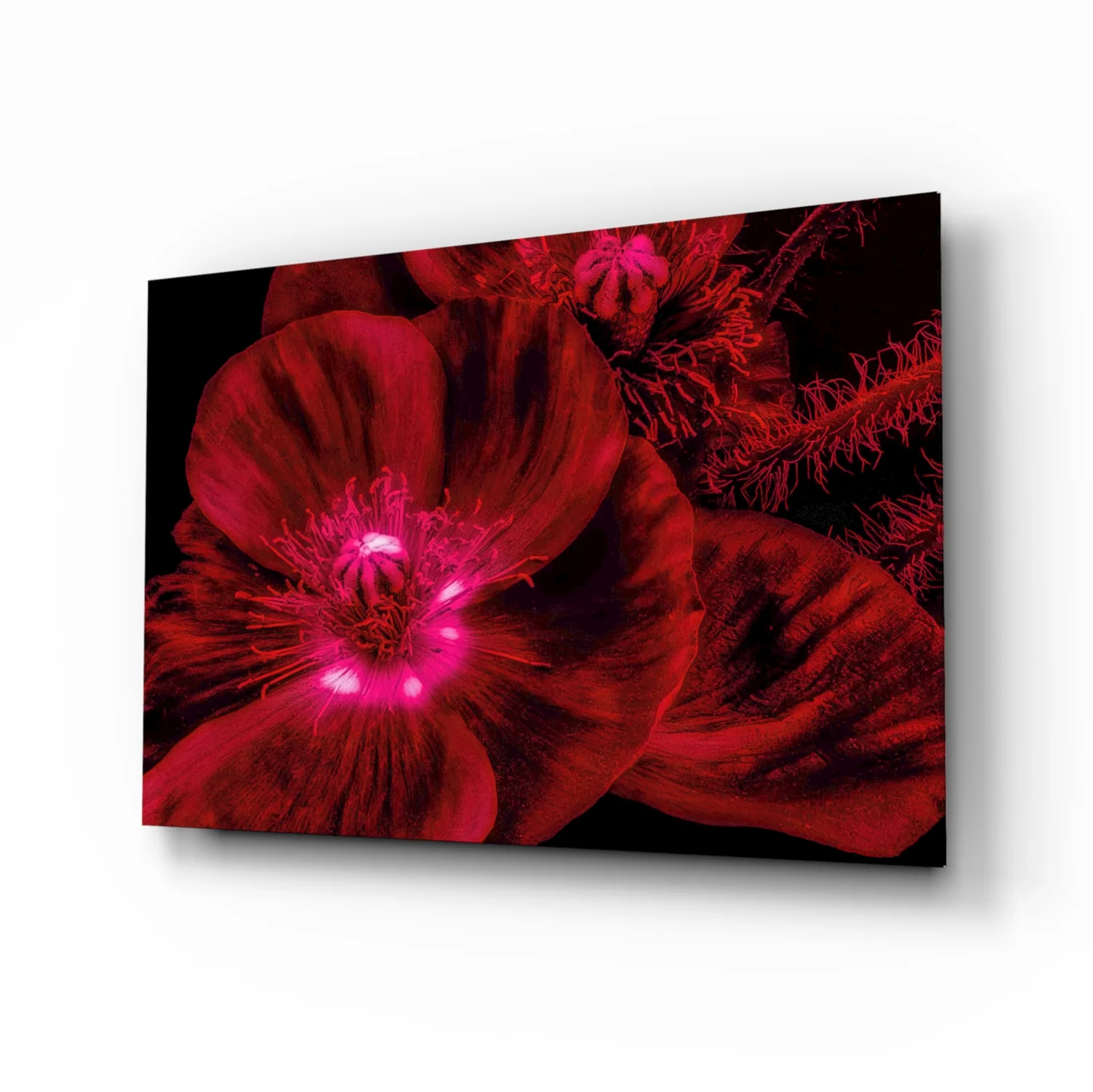 Malvales Flower Glass Wall Art - Image 2