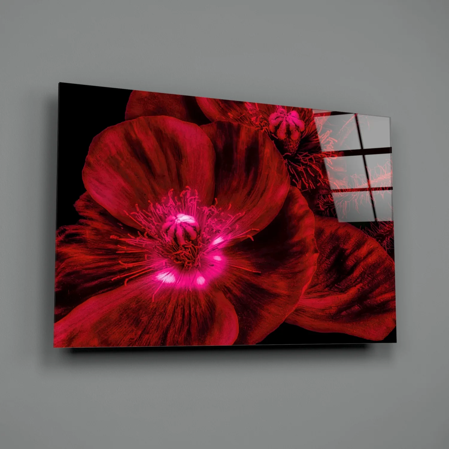 Malvales Flower Glass Wall Art - Image 3