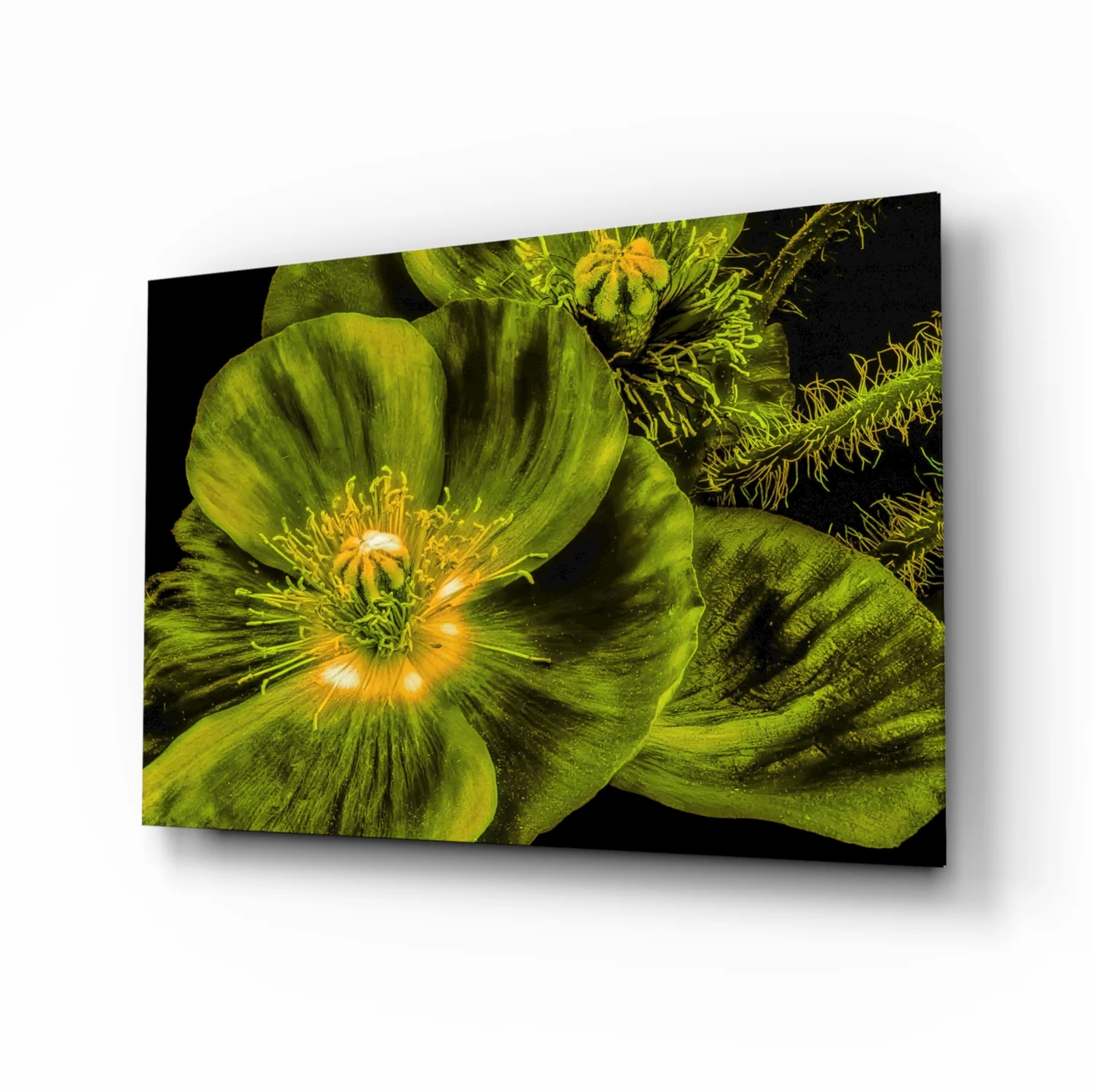 Malvales Flower Glass Wall Art - Image 2
