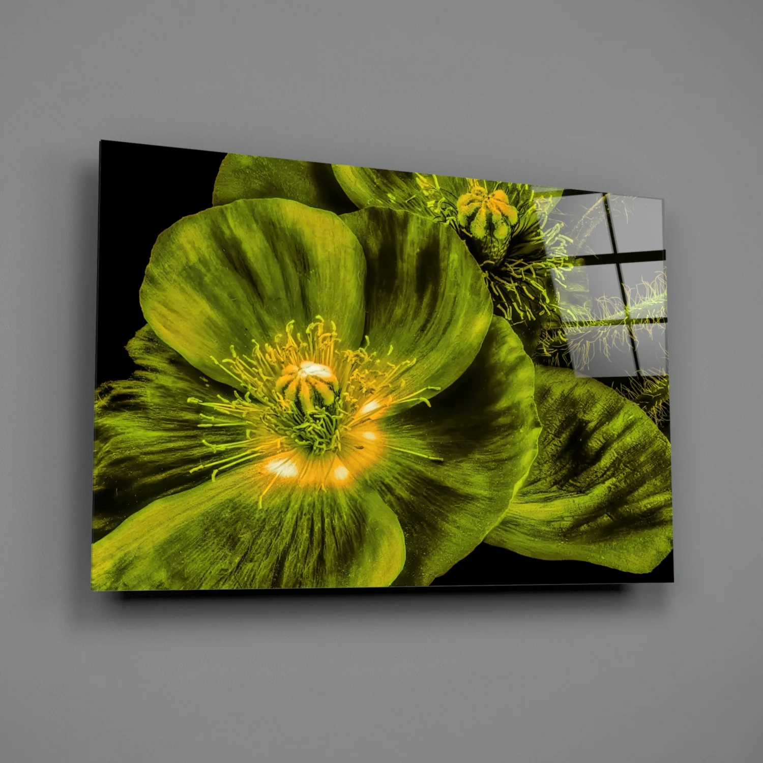 Malvales Flower Glass Wall Art - Image 3