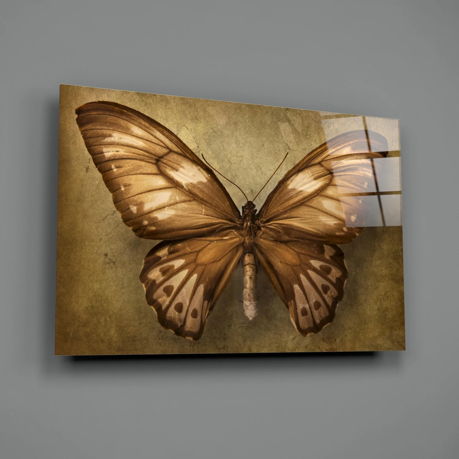 Butterfly Glass Wall Art - Image 3