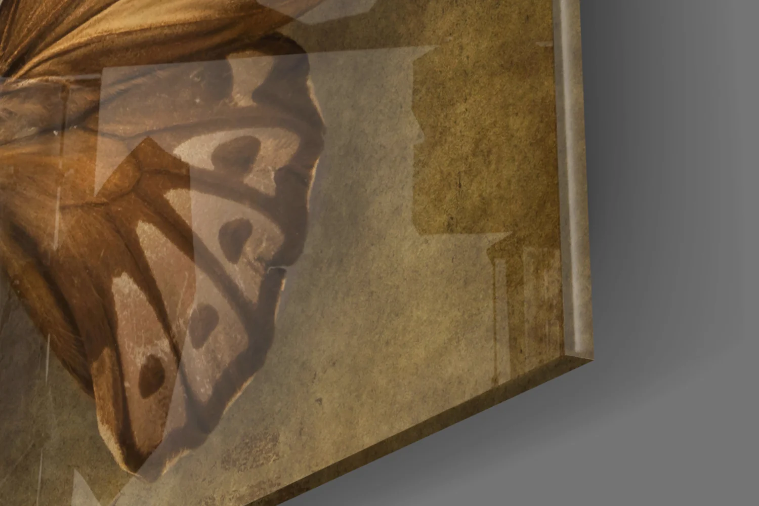 Butterfly Glass Wall Art - Image 8