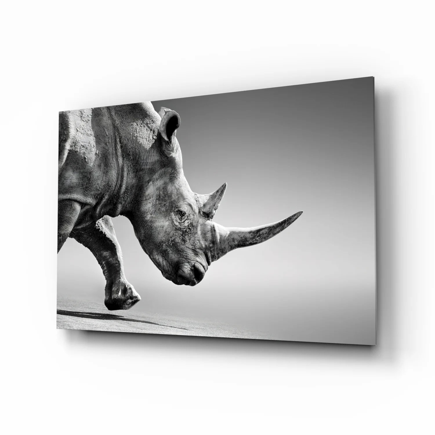 Black Rhino Glass Wall Art - Image 2