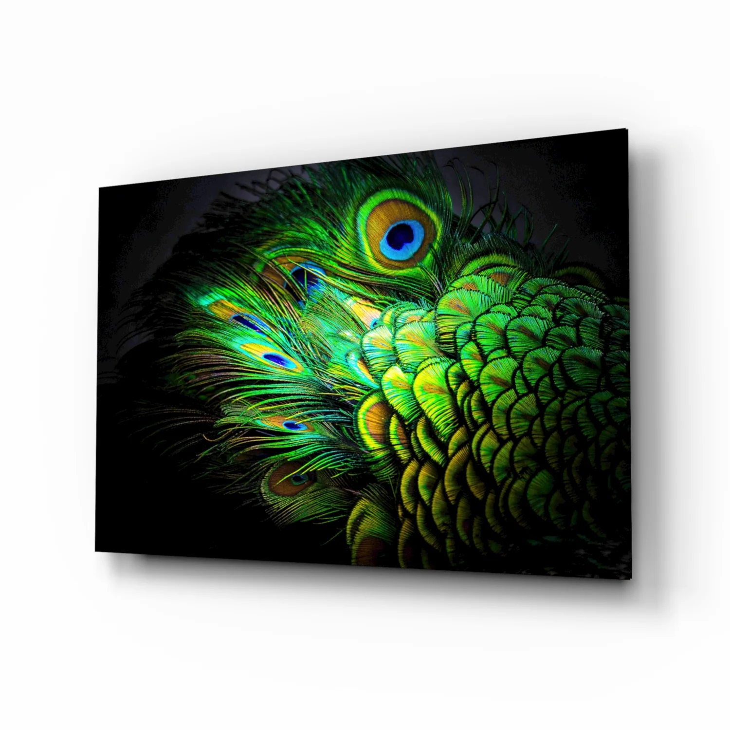 Peacock Glass Art - Image 2