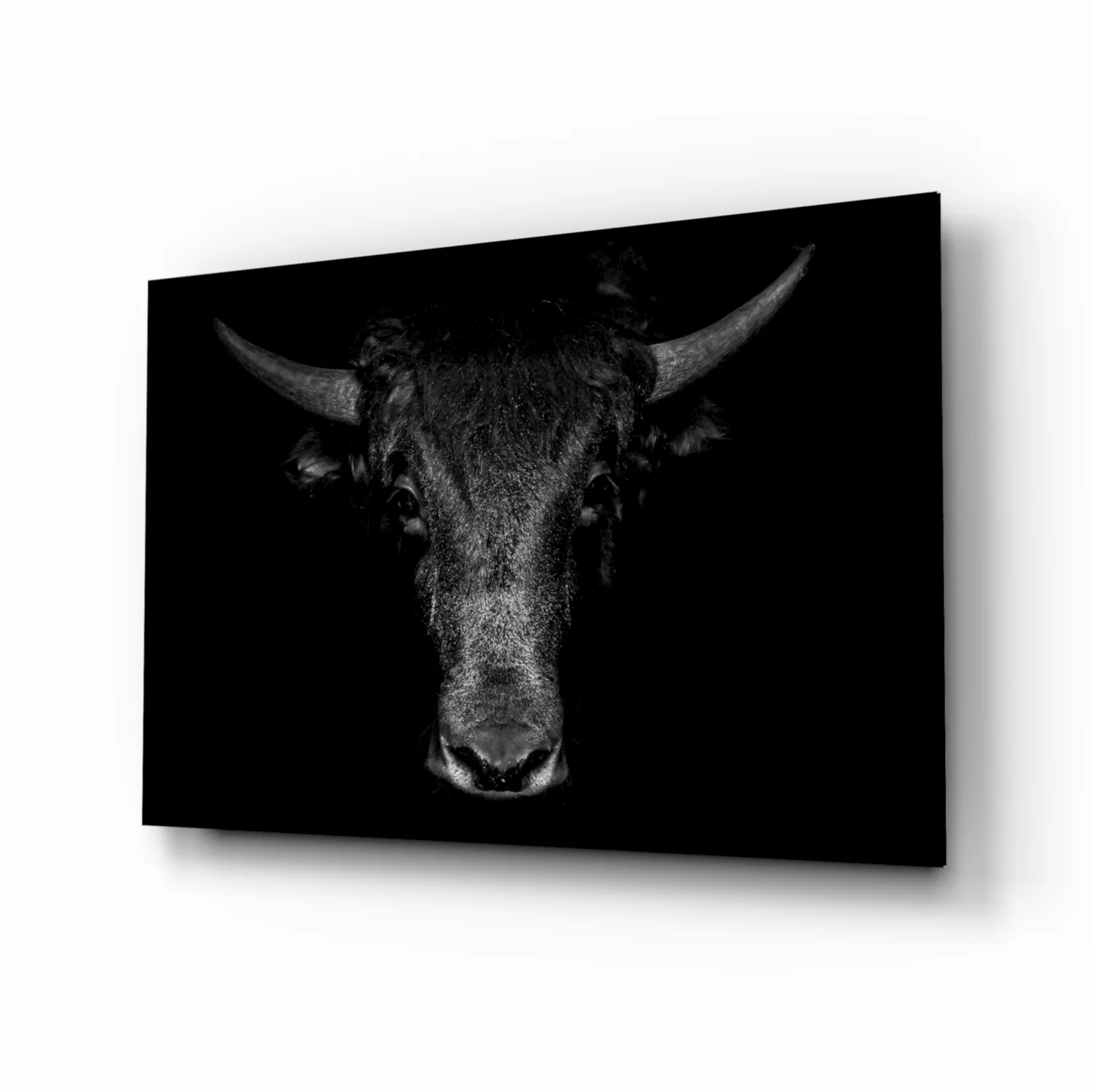 Buffalo Glass Art - Image 2