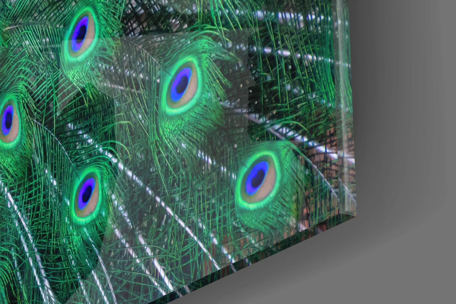 Peacock Glass Art - Image 8