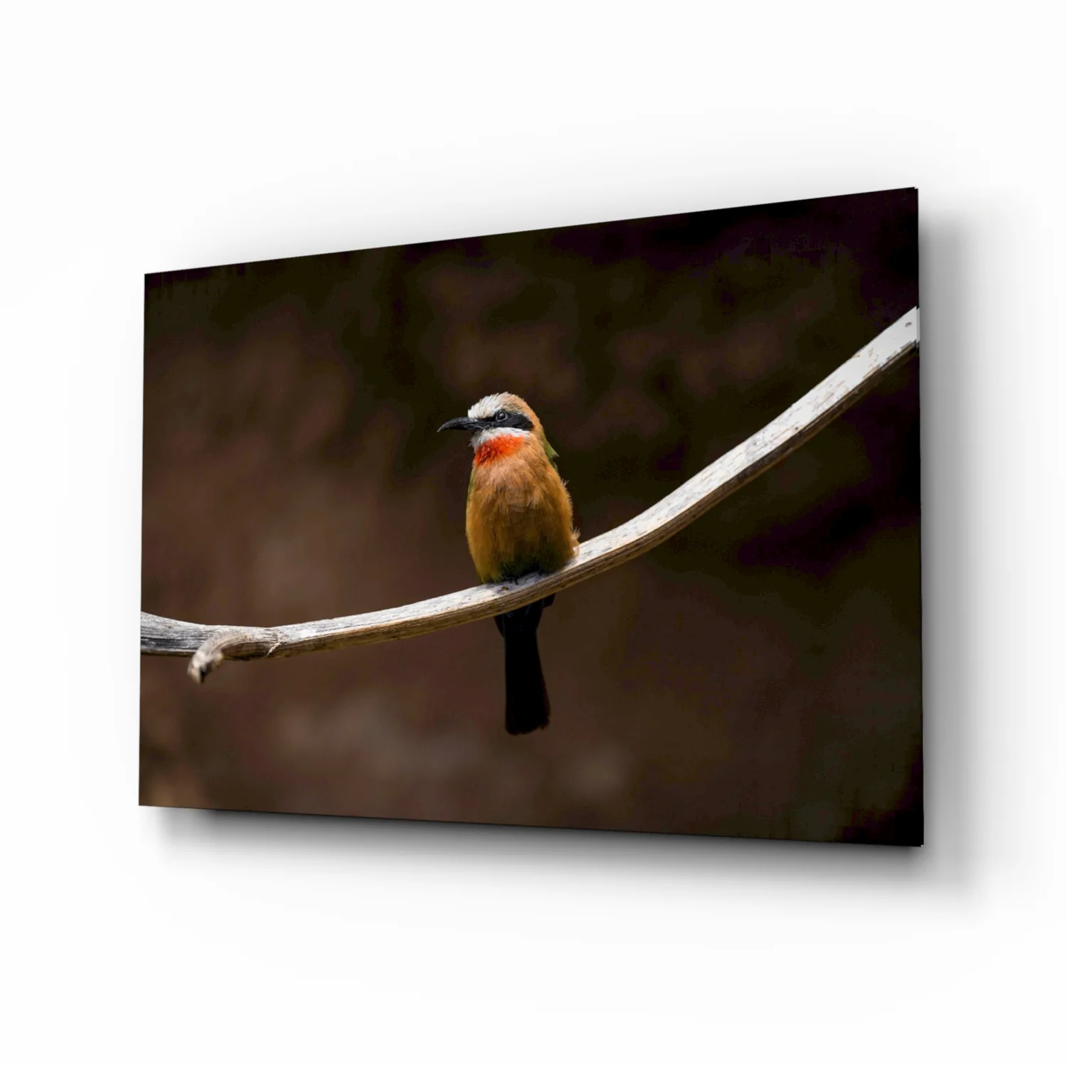 Bee Eater Glass Art - Image 2