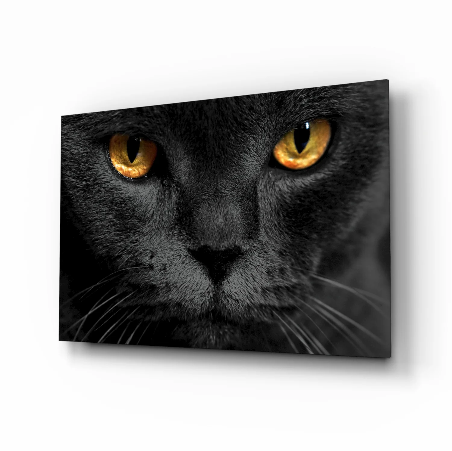 Cat Glass Wall Art - Image 2