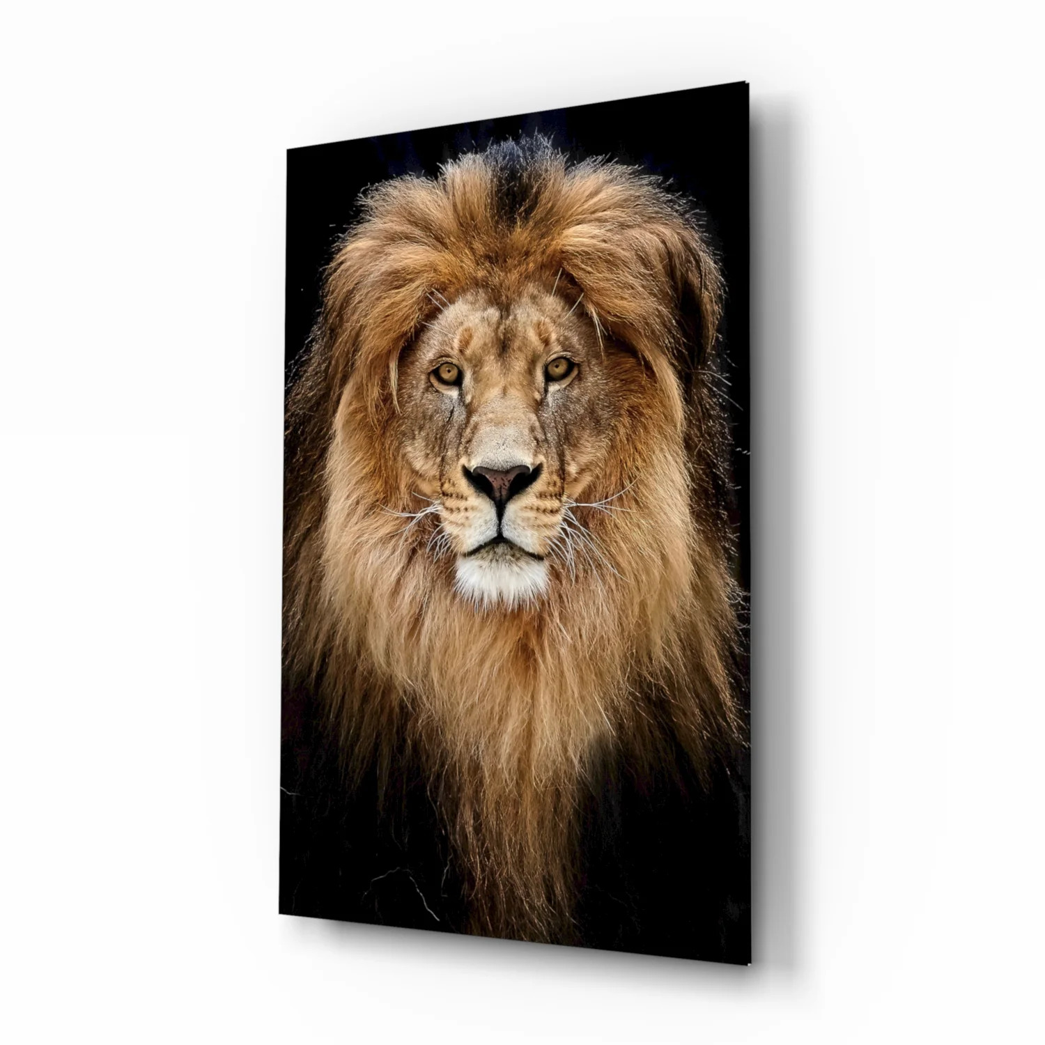 Lion Glass Wall Art - Image 2