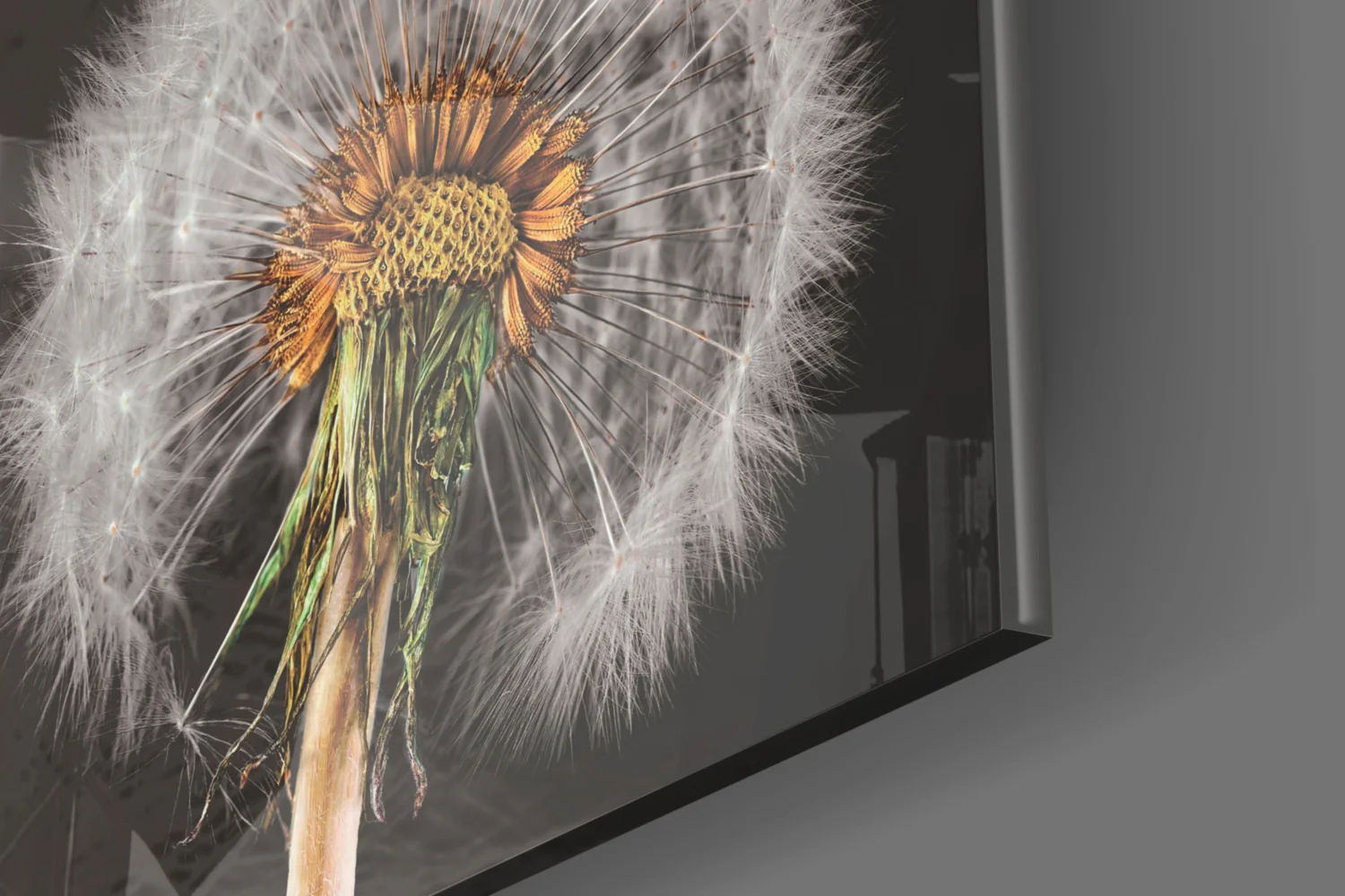 Dandelions Glass Wall Art - Image 8