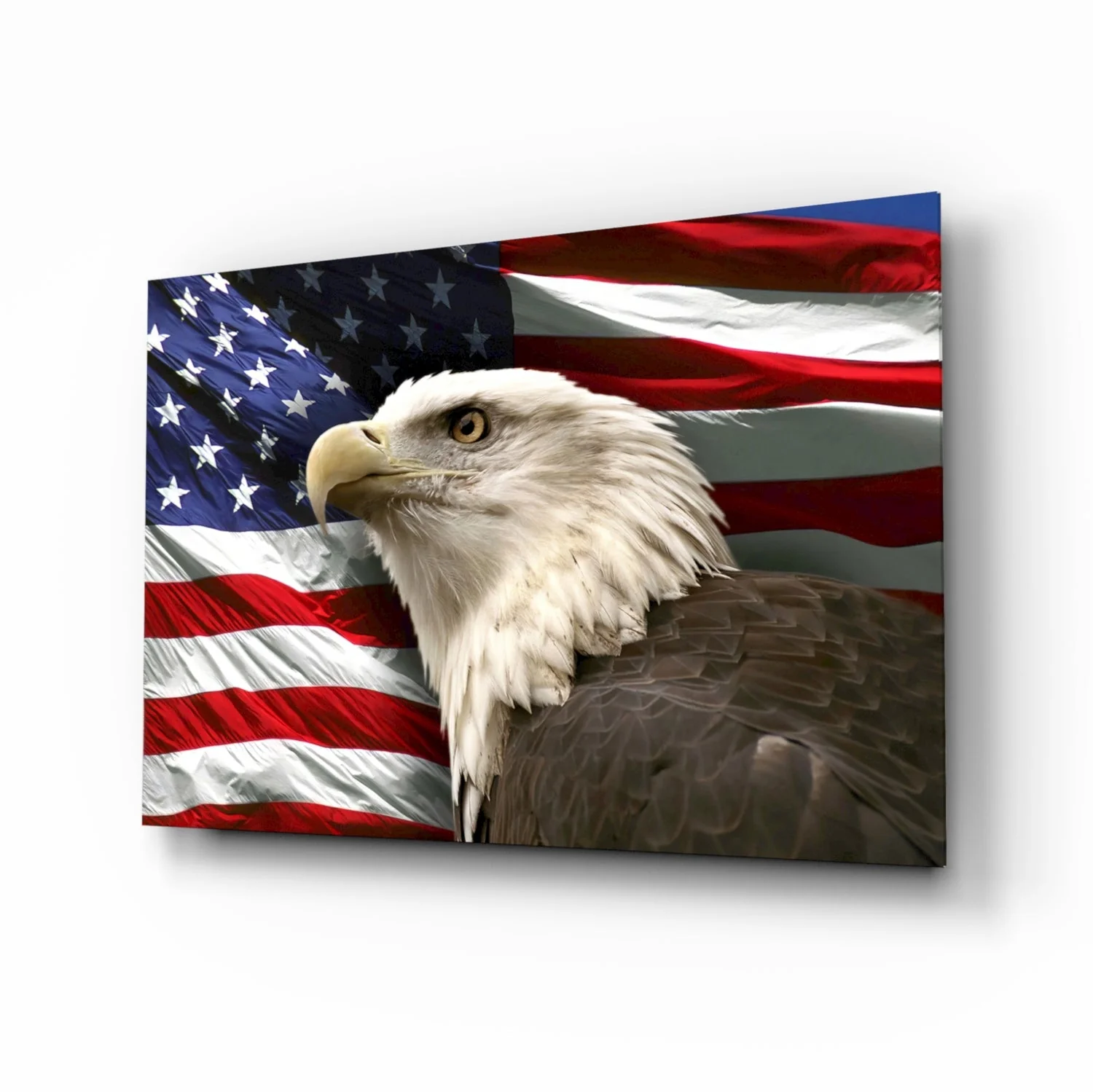 American Eagle Glass Wall Art - Image 2