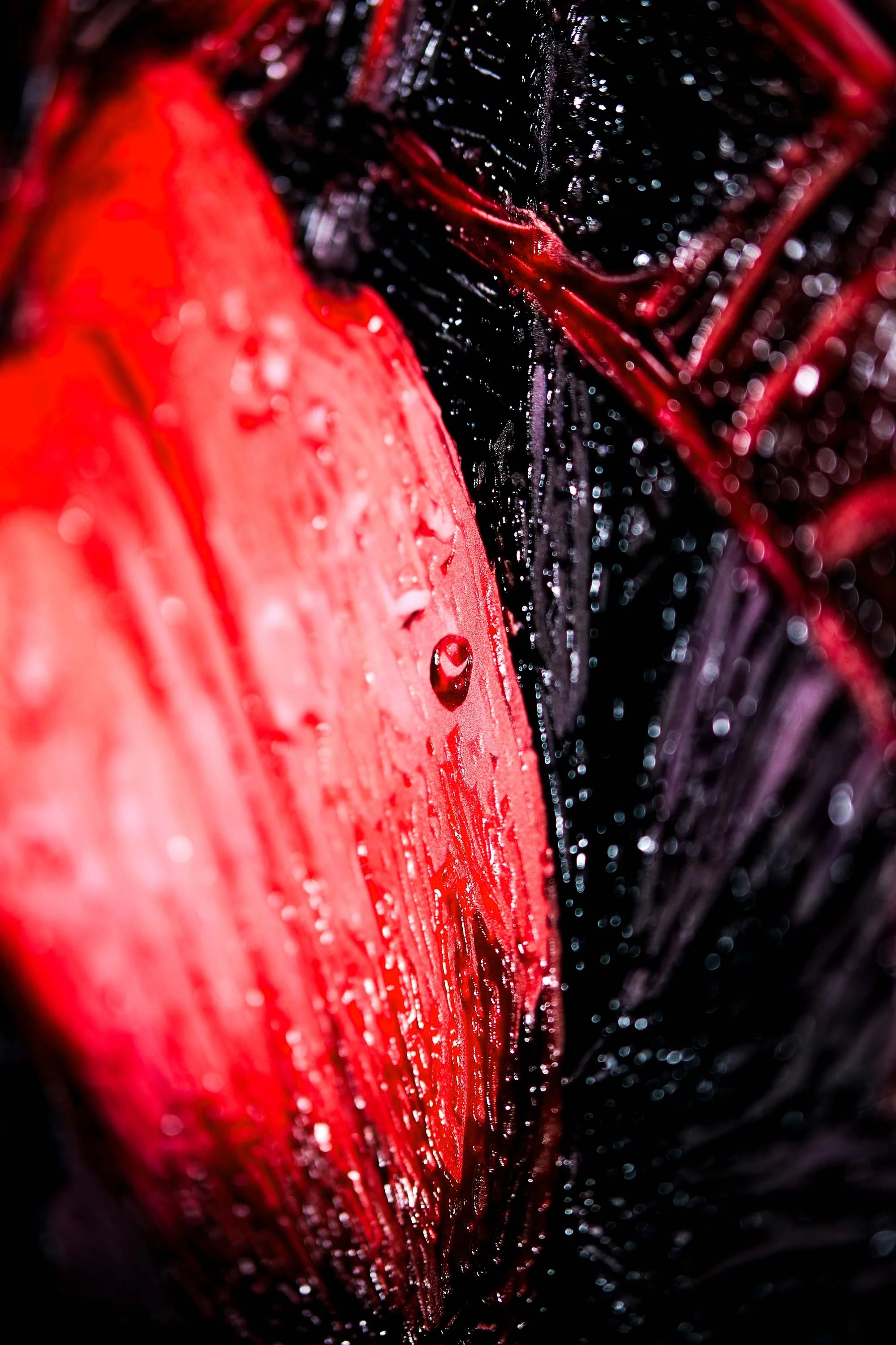 Crimson Velvet Lilies — 3D Haptic Embossed High-Gloss Luxury Wall Art - Image 7