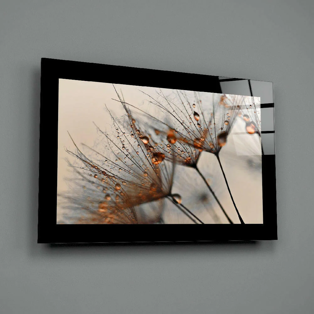 Cinnamon Dandelion Glass Wall Art - Image 2
