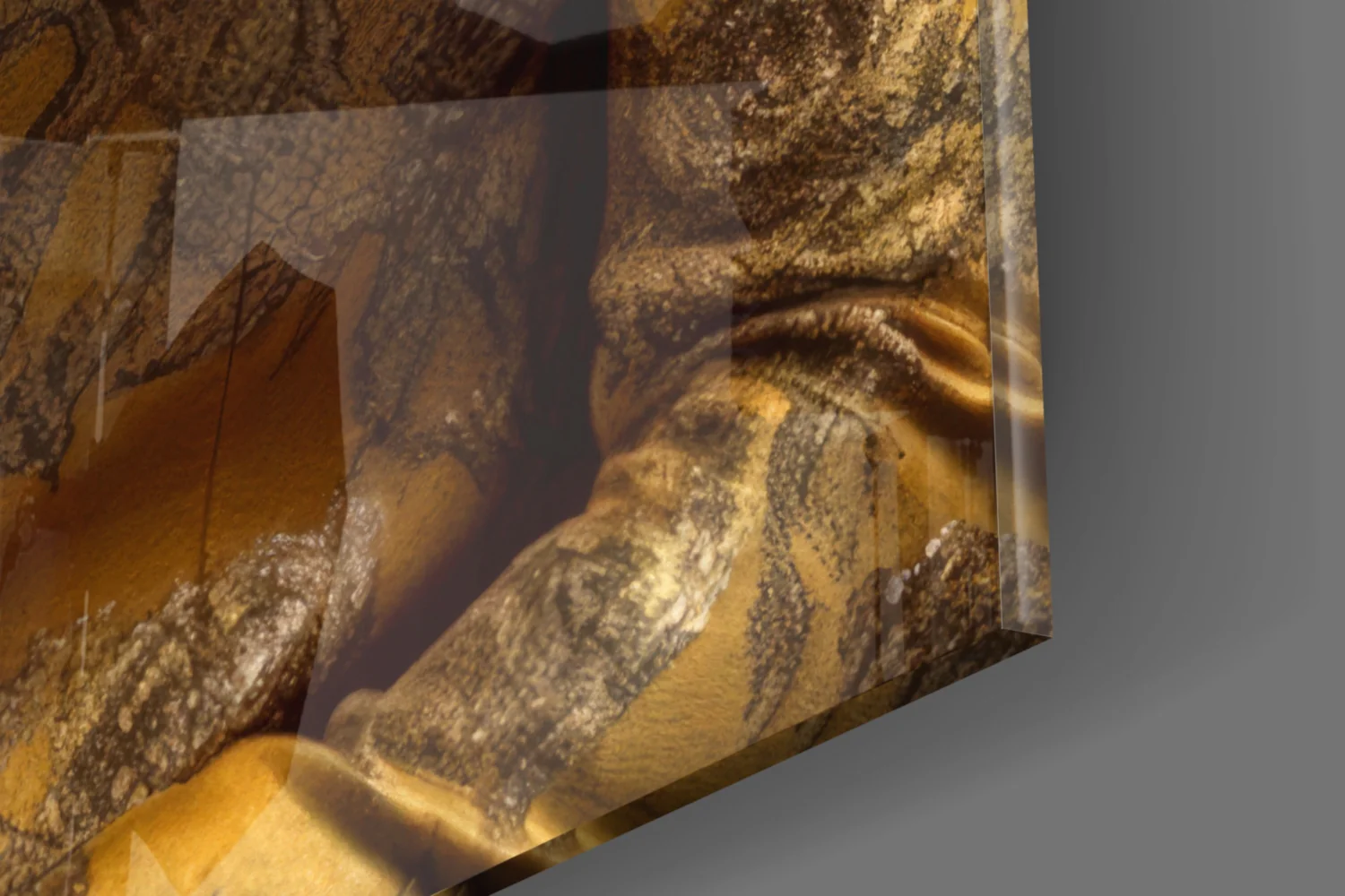 Lion Vogue Glass Wall Art|| Designer's Collection - Image 8