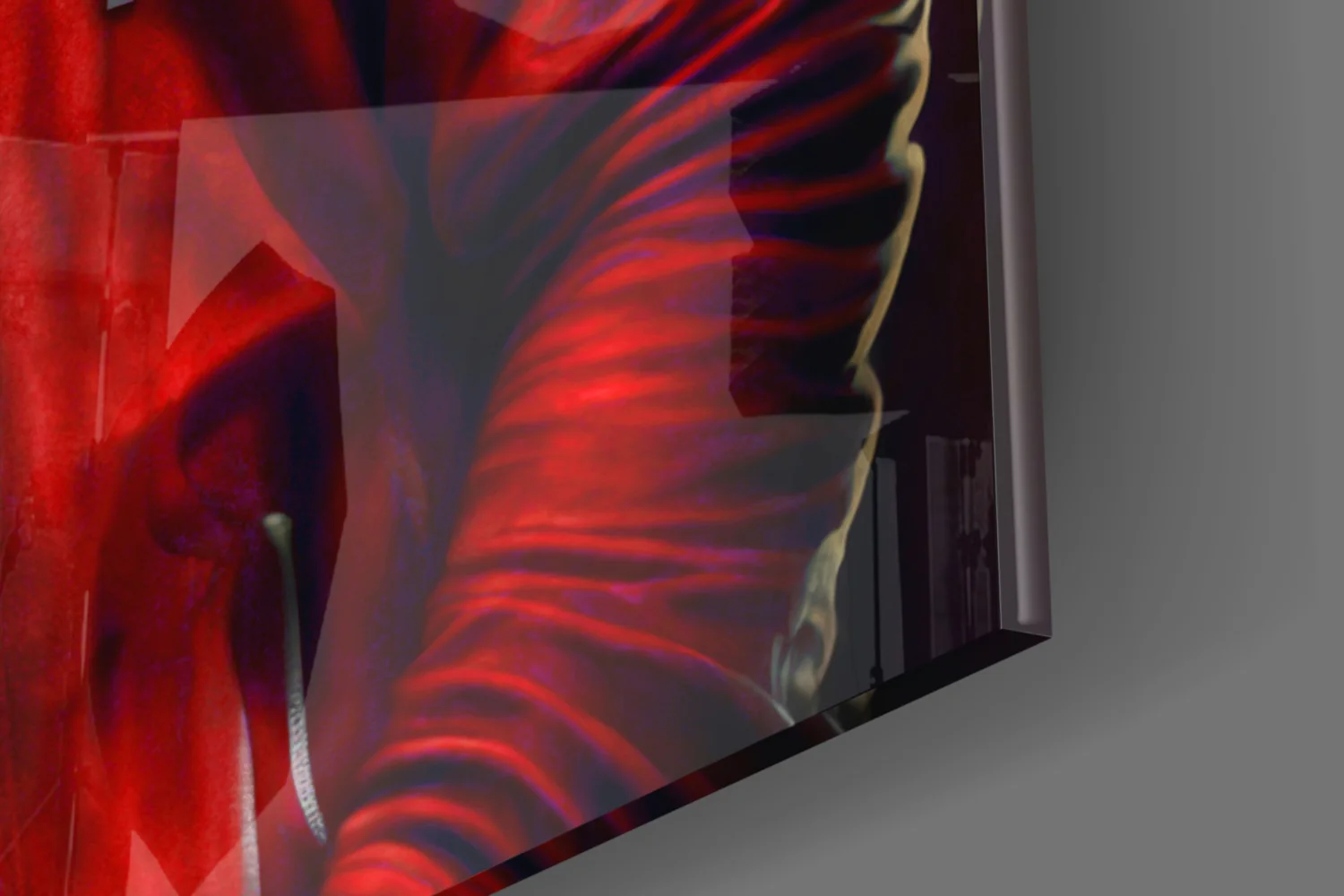 Animal Vogue Glass Wall Art|| Designer's Collection - Image 8