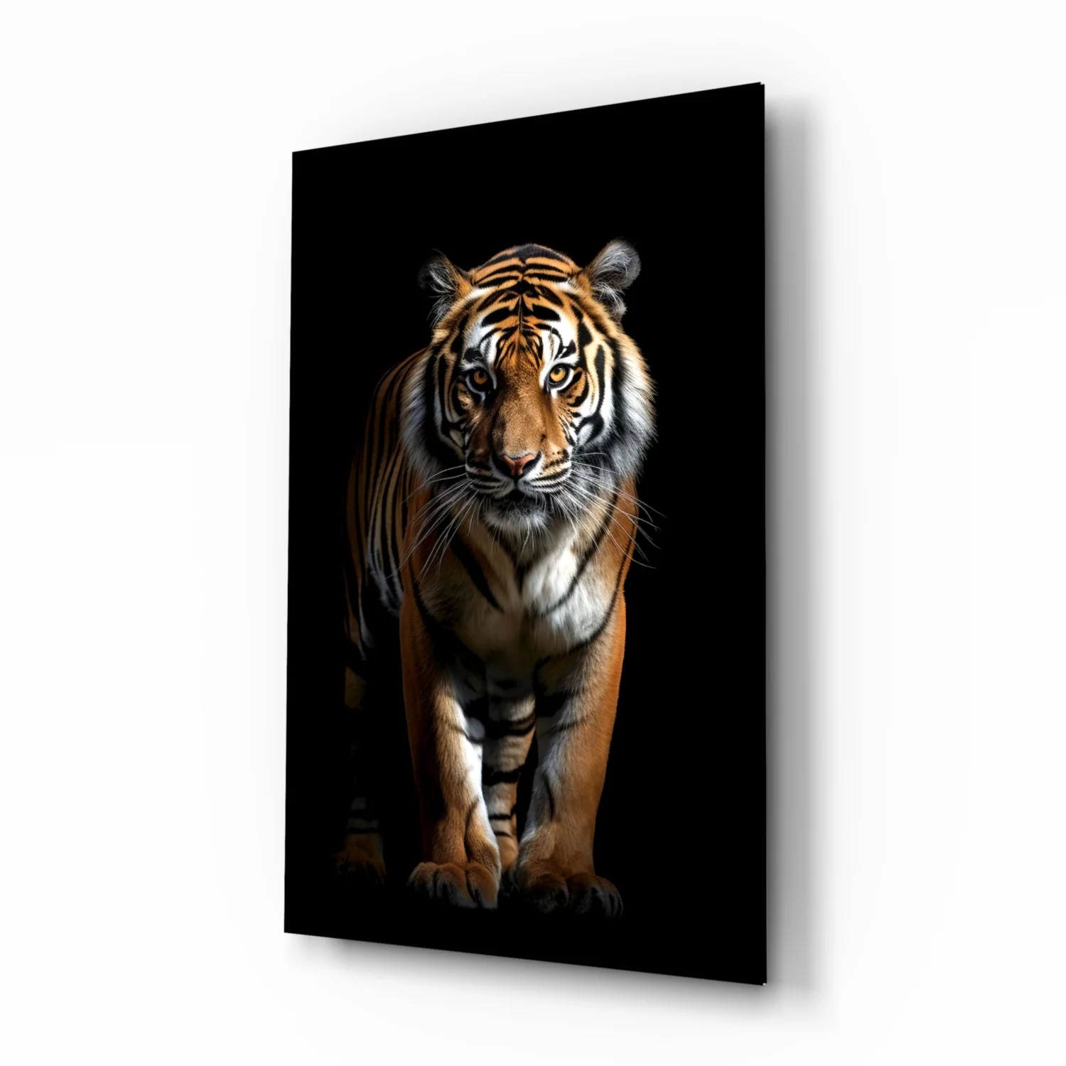 Tiger in the Dog Glass Wall Art|| Designer's Collection - Image 2