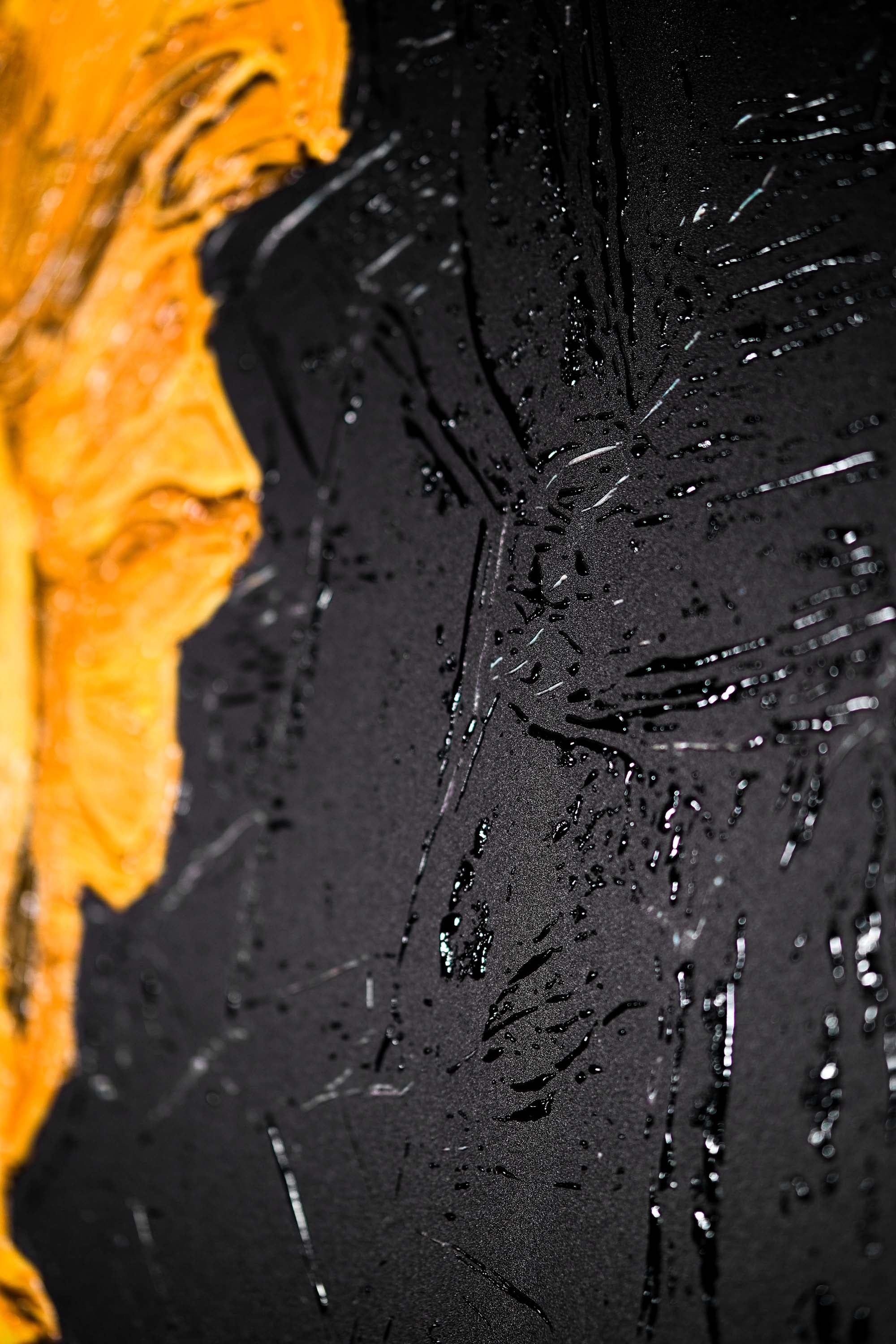 Gilded Obsidian Bloom — 3D Haptic Embossed High-Gloss Luxury Wall Art - Image 4