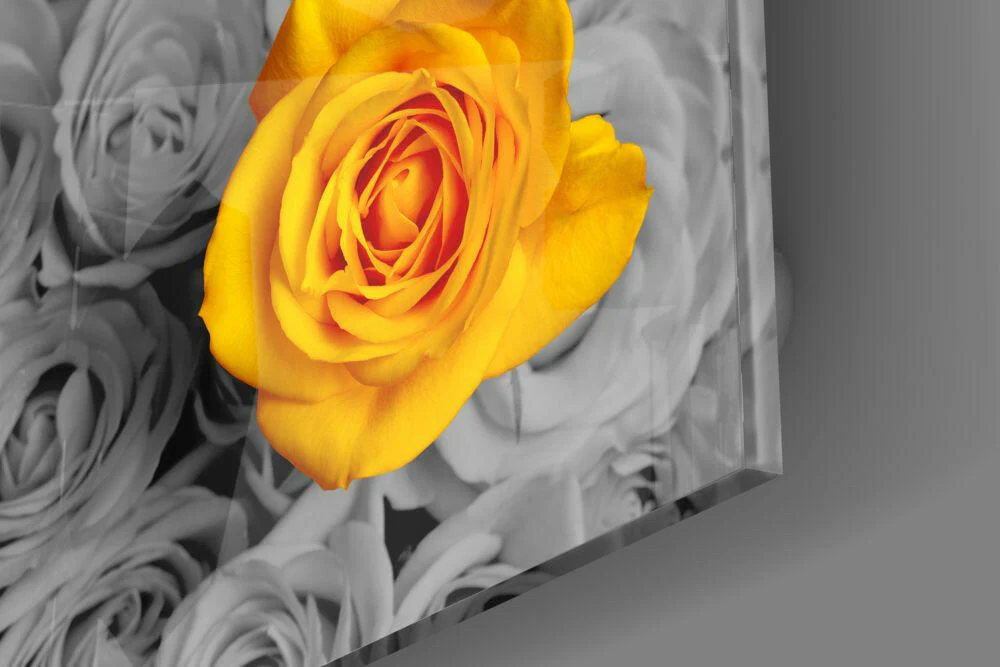 Yellow Rose Glass Wall Art - Image 4
