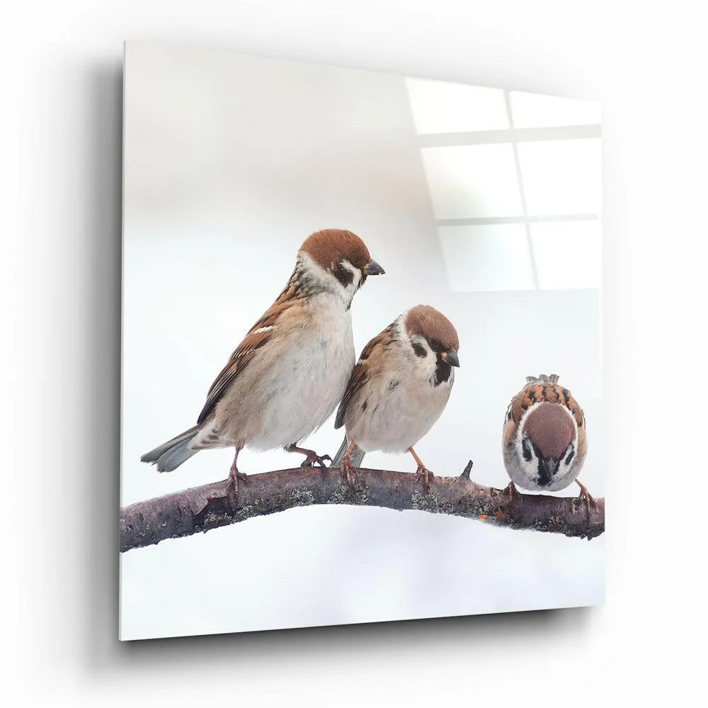 Birds Glass Wall Art - Image 2