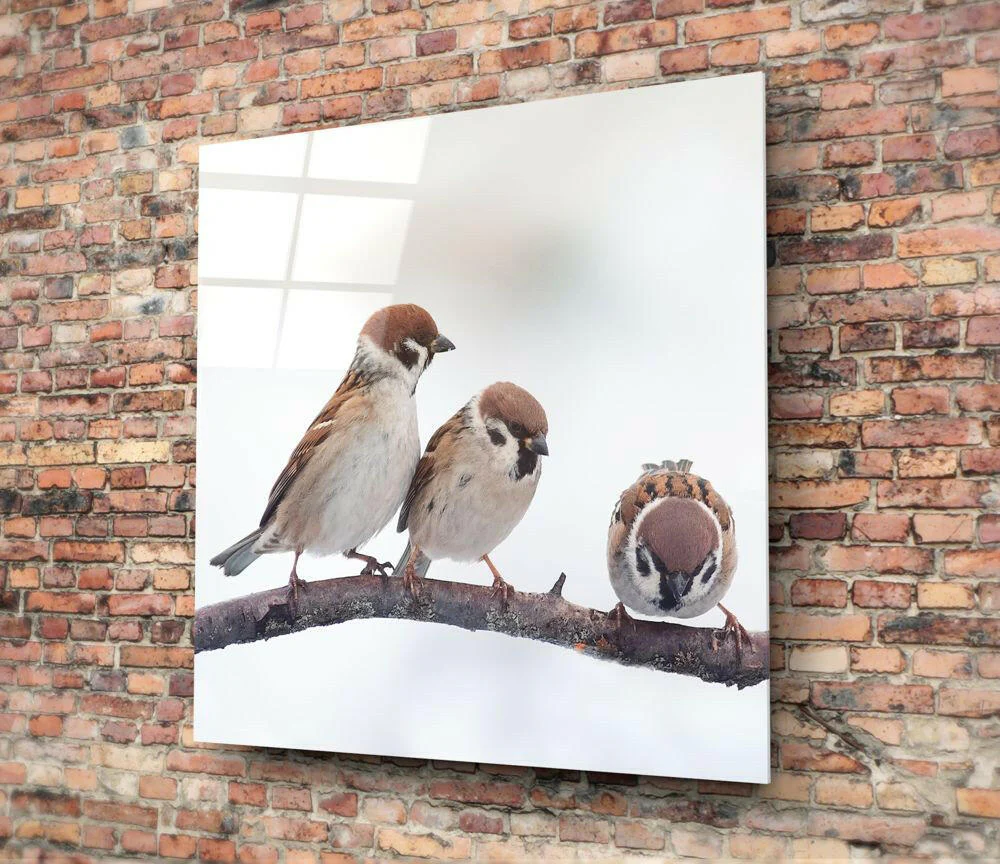 Birds Glass Wall Art - Image 3