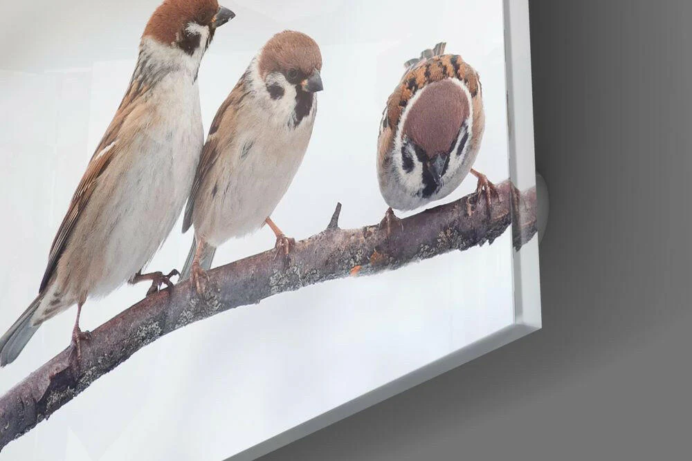 Birds Glass Wall Art - Image 4