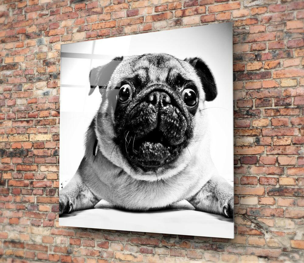 Pug Glass Wall Art - Image 3