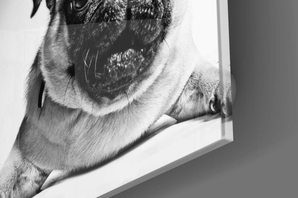 Pug Glass Wall Art - Image 4