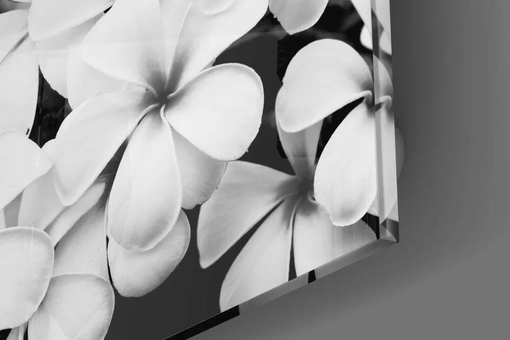 Black and White Flowers Glass Wall Art - Image 4