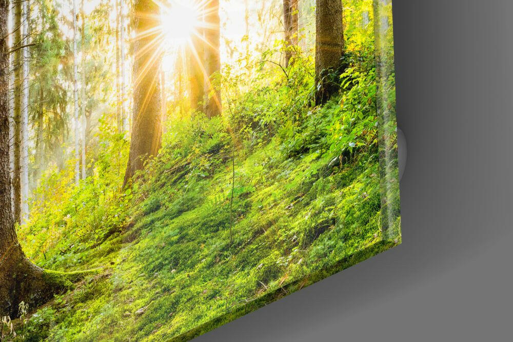 Forest Glass Wall Art - Image 4