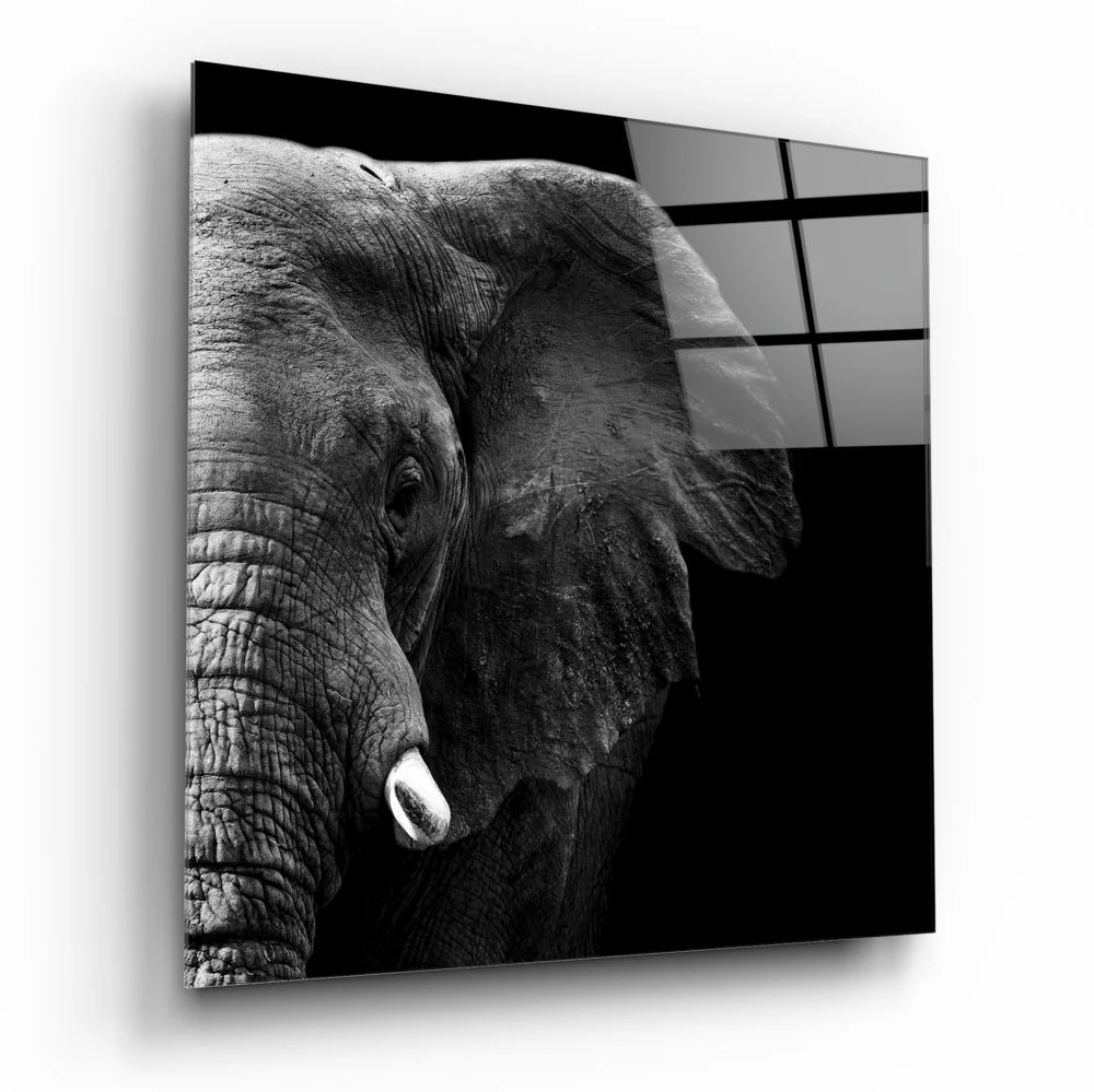 Elephant Glass Wall Art - Image 2