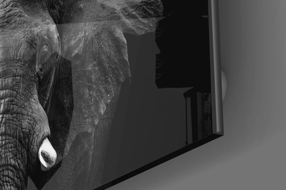Elephant Glass Wall Art - Image 3