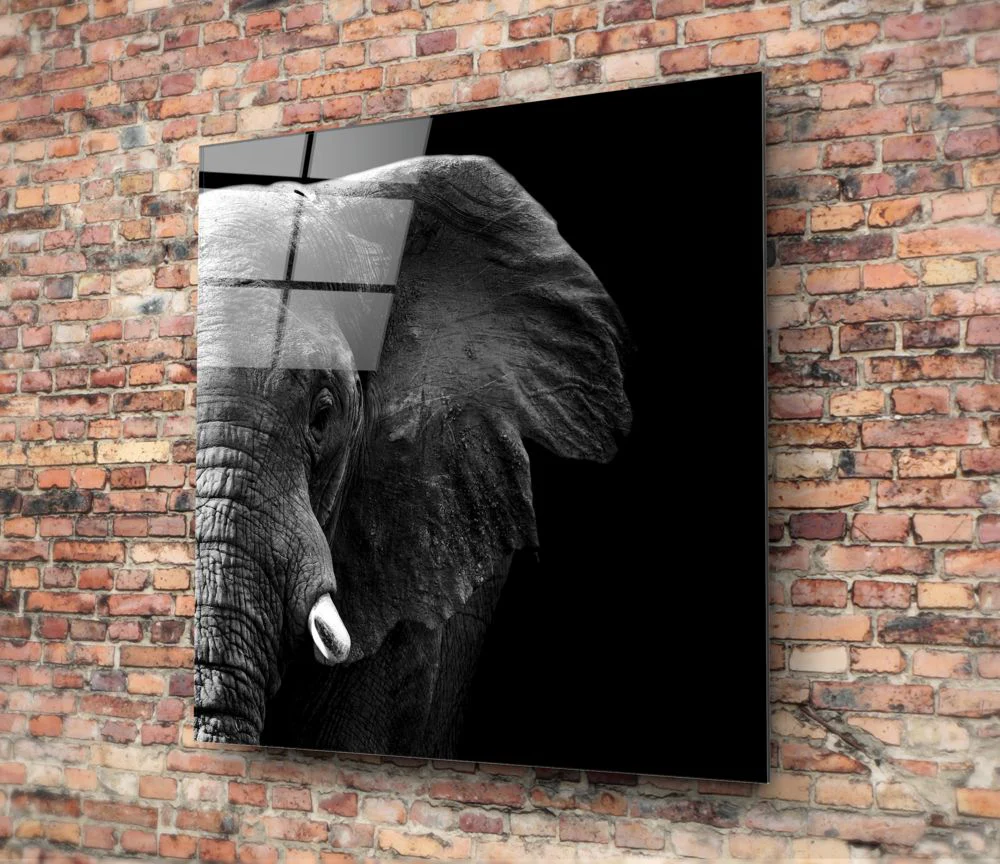 Elephant Glass Wall Art - Image 4