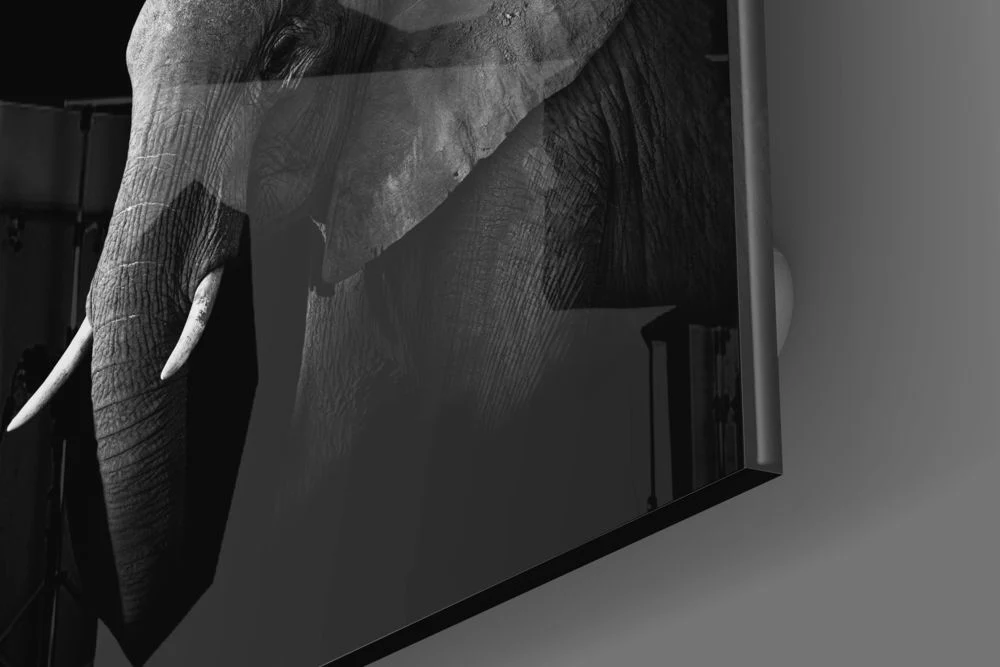 Elephant Glass Wall Art - Image 3