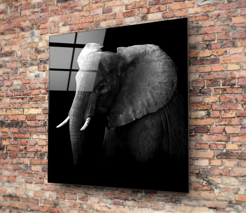 Elephant Glass Wall Art - Image 4