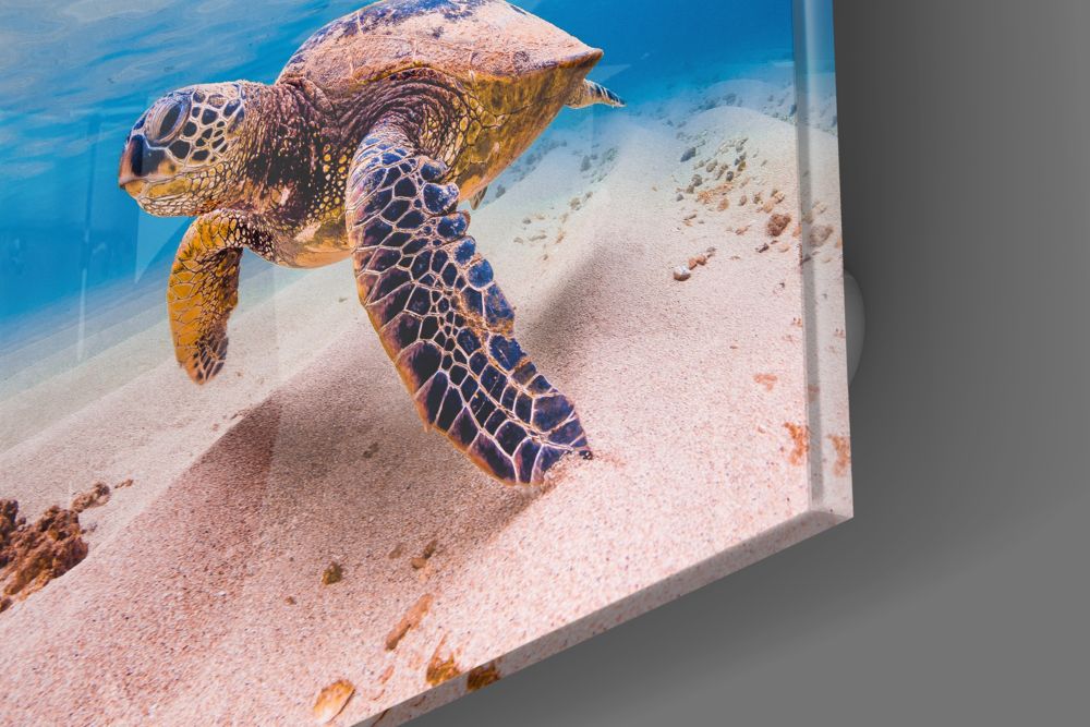 Sea Turtle Glass Wall Art - Image 3
