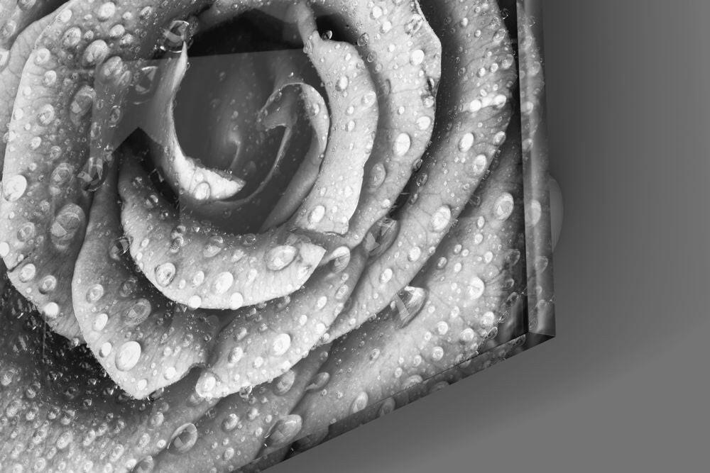 Rose Glass Wall Art - Image 3