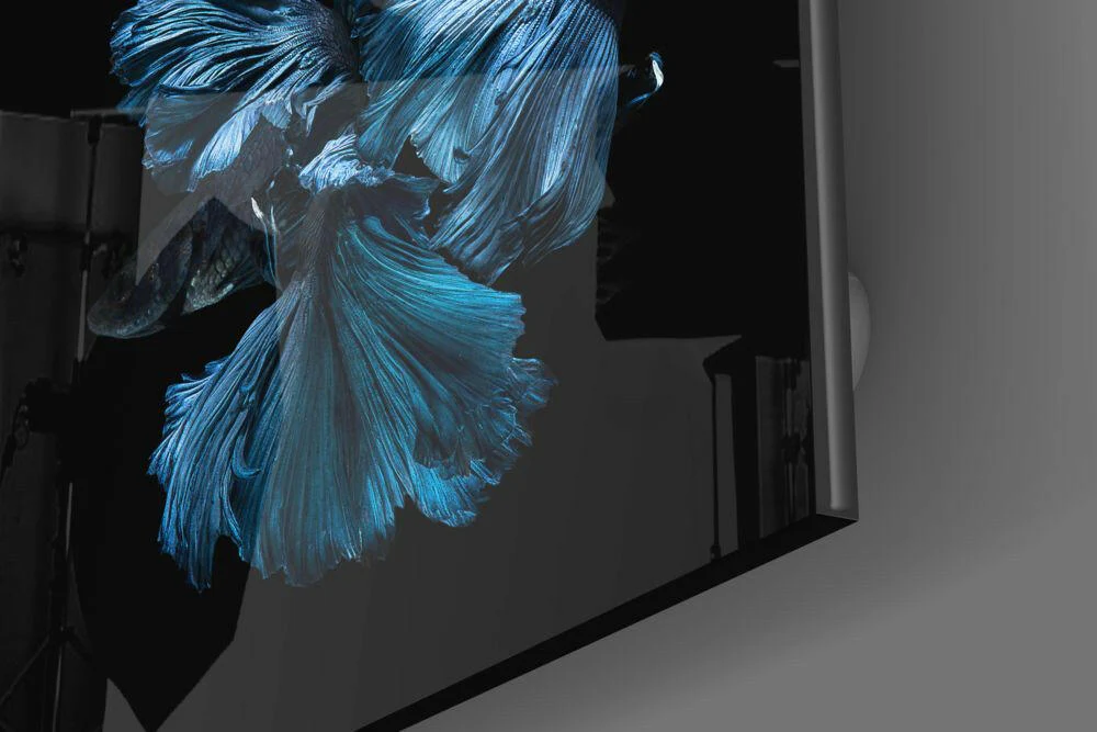 Betta Fish Glass Wall Art - Image 3